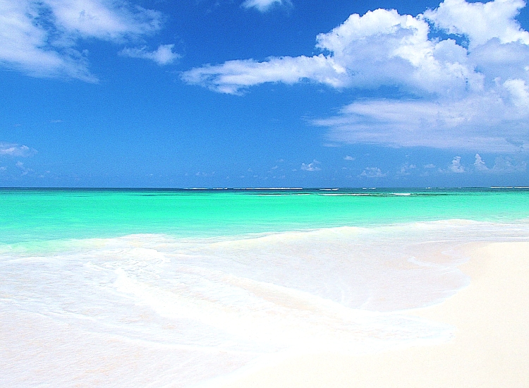 Zanzibar_Prestine_Beach_04_750_550shar-50brig-20_c1